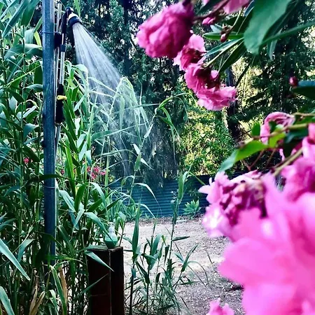 Casa Rural Con Piscina Viajar Con Mascota Gaucín Exterior foto