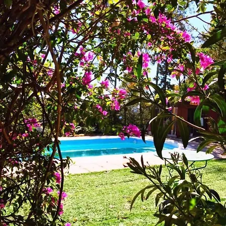 Casa Rural Con Piscina Viajar Con Mascota Gaucín Exterior foto